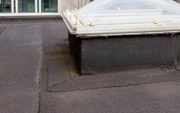 disadvantages of Orton flat roofs