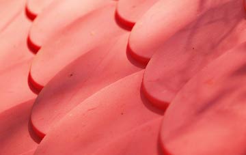 Orton plastic roof costs