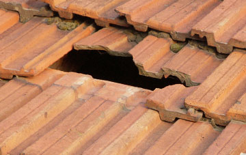 roof repair Orton