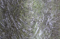 Orton fibreglass roof work