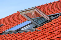 Orton roof window